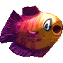 Horny Fish